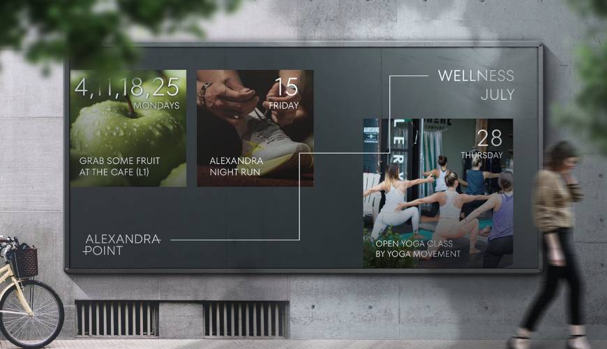 白银包装设计公司如何进行品牌审核